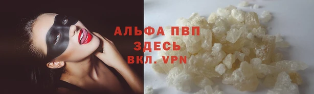 гашик Абаза