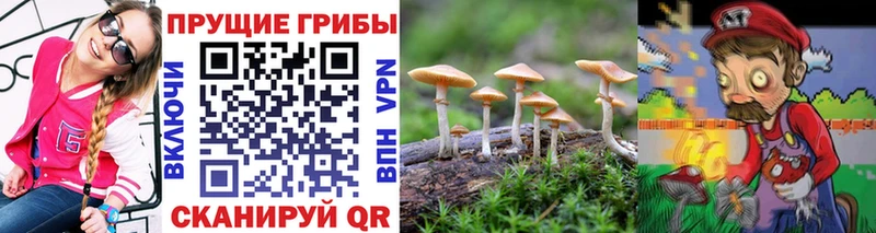блэк спрут вход  Южноуральск  Псилоцибиновые грибы ЛСД 